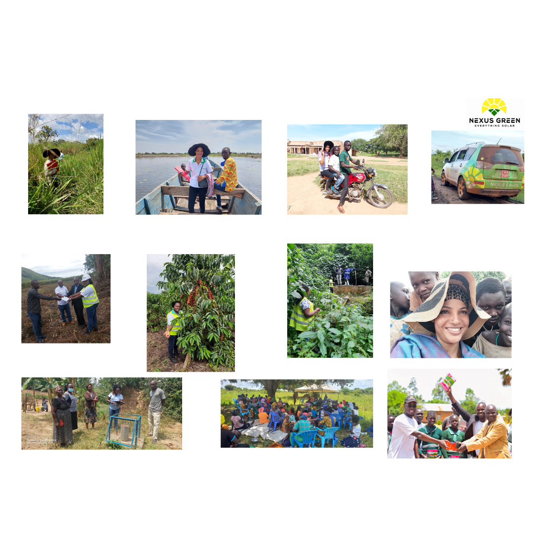 Empowering East Africa: Nexus Green’s Journey of Resilience and Community Transformation